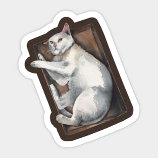 Cat in a Box Sticker